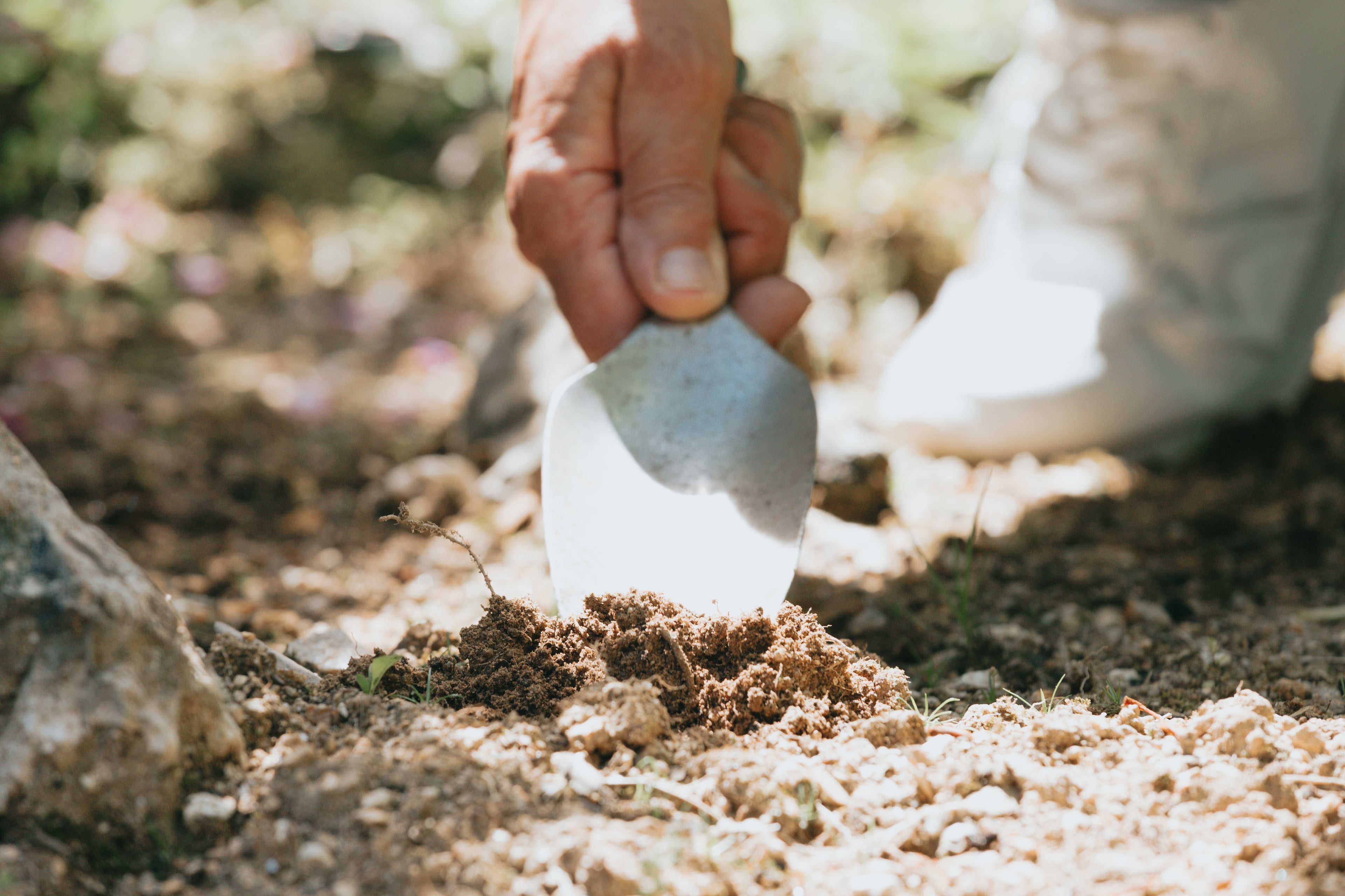 Organic cotton soil